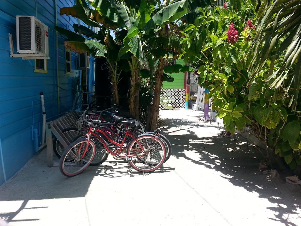 Sea N Sun Guest House كاي كولكر المظهر الخارجي الصورة