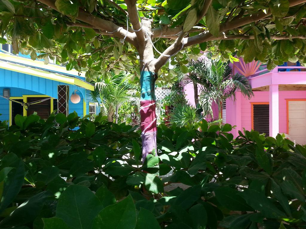 Sea N Sun Guest House كاي كولكر المظهر الخارجي الصورة